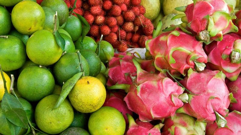 From the temples of Angkor to the Mekong Delta, experience unique and exotic end-of-year celebrations - & Hanoi and Halong Bay (port-to-port cruise)