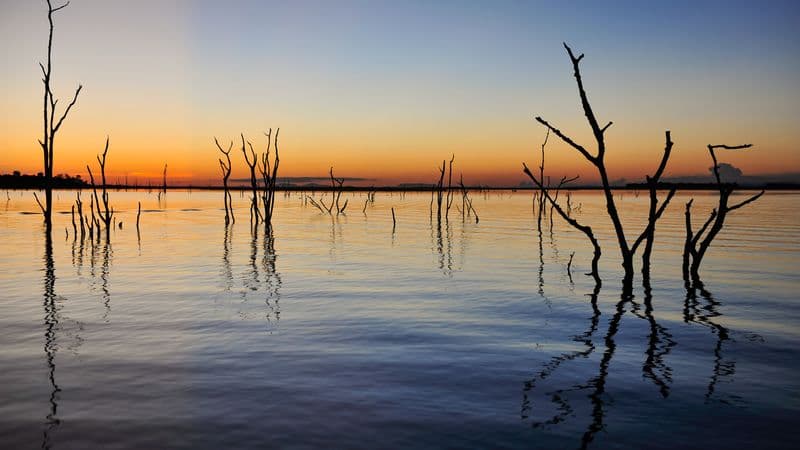 Safari Cruise along the Zambezi River - South Africa, Botswana, Namibia, Zimbabwe (port-to-port cruise)
