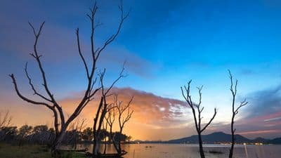 Safari Cruise along the Zambezi River - South Africa, Botswana, Namibia, Zimbabwe with extended stay "Cape Town and the Cape of Good Hope Peninsula" (port-to-port cruise)
