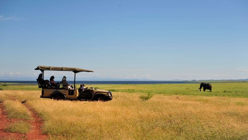 Safari Cruise along the Zambezi River - South Africa, Botswana, Namibia, Zimbabwe (port-to-port cruise)